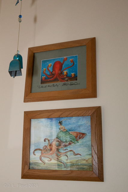 Pictures at an Octopus Exhibition
Modest Mussorgsky would have had fun with this bathroom.
