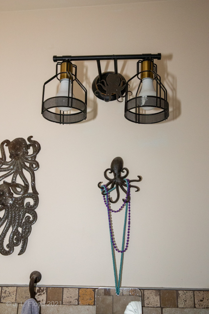 By the Light of the Silvery Octopus
A two-bulb light fixture with an octopus (on the wall plate, kind of hard to see) holding it on the wall
