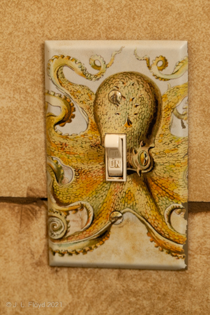 Octopus Light Switch
They went to great lengths in pursuing the octopus theme.
