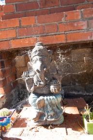 BackyardGanesha-9720.jpg