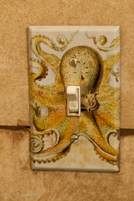 OctopusBathroom-9771.jpg