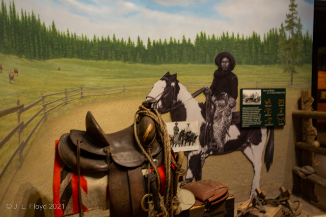 The Cowboys are the Indians
I know, they're not Indians, they're Native Americans.  Regardless, many of them went into the ranching business and became rather successful at it.
