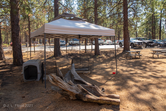 Pet Haven
The Museum kindly provides a shaded area with kennels for visitors to safely put up their pets while touring the Museum.
