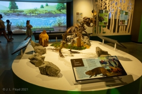 BendHighDesertMuseum-9944.jpg