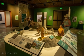 BendHighDesertMuseum-9946.jpg