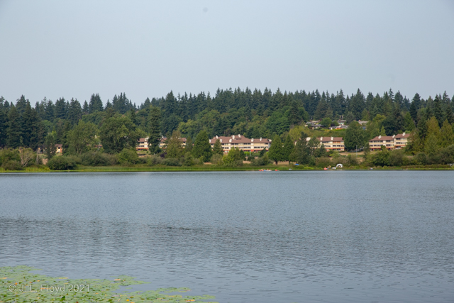 The Far Pavilions
The opposite side of Lake Ballinger belongs to the city of Mountlake Terrace; the structures visible there constitute the Lake Ballinger Estates condo complex.
