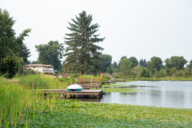 The North Shore
Docks belonging to Sarah and Mike's neighbors to the north.
