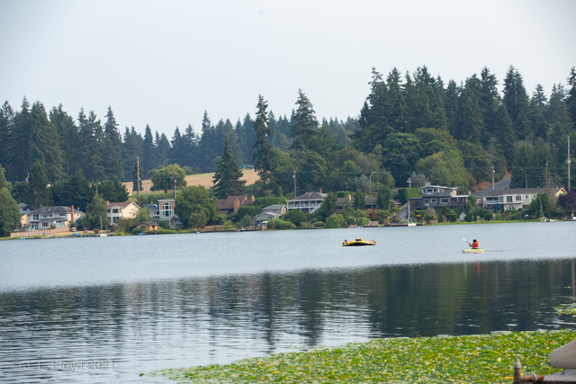 Affluence
A telephoto shot of the south end of Lake Ballinger, showcasing the palatial homes lining the shore.
