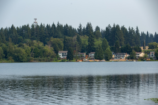 Curses, Niled Again
At some point on the southeast shore of Lake Ballinger, i.e. left of center in this picture, the elegant homes give way to the Nile Shrine Golf Course, which features the Nile Curse Haunted House (not visible here).
