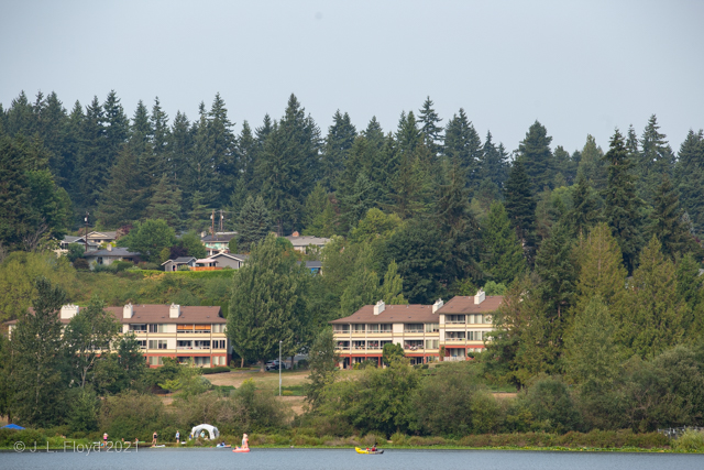 On the Beach
The beach on the east shore of Lake Ballinger, with the eponymous condos in the background.
