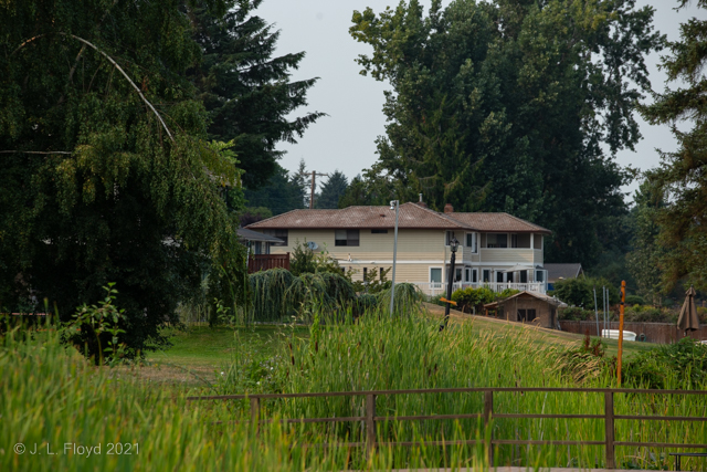 Neighbors to the North
Gigantic trees shade the residences on the north.
