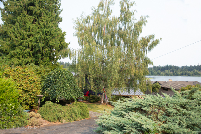 Verdant Country
Sarah and Mike's house is largely concealed from the street by the trees and shrubs surrounding it.
