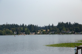 Filename=Edmonds-0019.jpg
Filesize=179KiB
Dimensions=640x427
Date added=Sep 21, 2021 Edmonds-0019.jpg