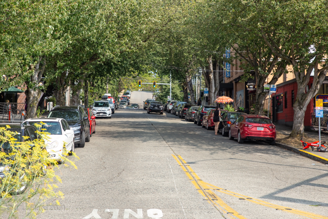 Looking back
Continuing west on North 36th Street, we arrived at its intersection with Fremont Place and Evanston Avenue, whereupon I turned around and shot this picture of the pleasant shady way we had taken.
