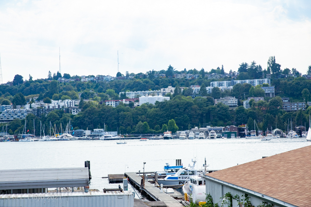 Queen Anne Hill
The hill is 456 feet high, the second highest point in Seattle, and contains a number of steep streets and pedestrian staircases; it also hosts 3 TV towers..
