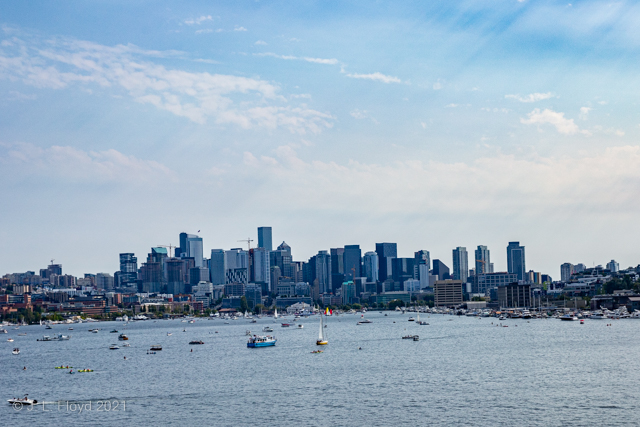 Downtown Seattle
As seen across Lake Union from the Gas Works Park.  On the shoreline, in the center, is the Museum of History and Industry (Mohai).
