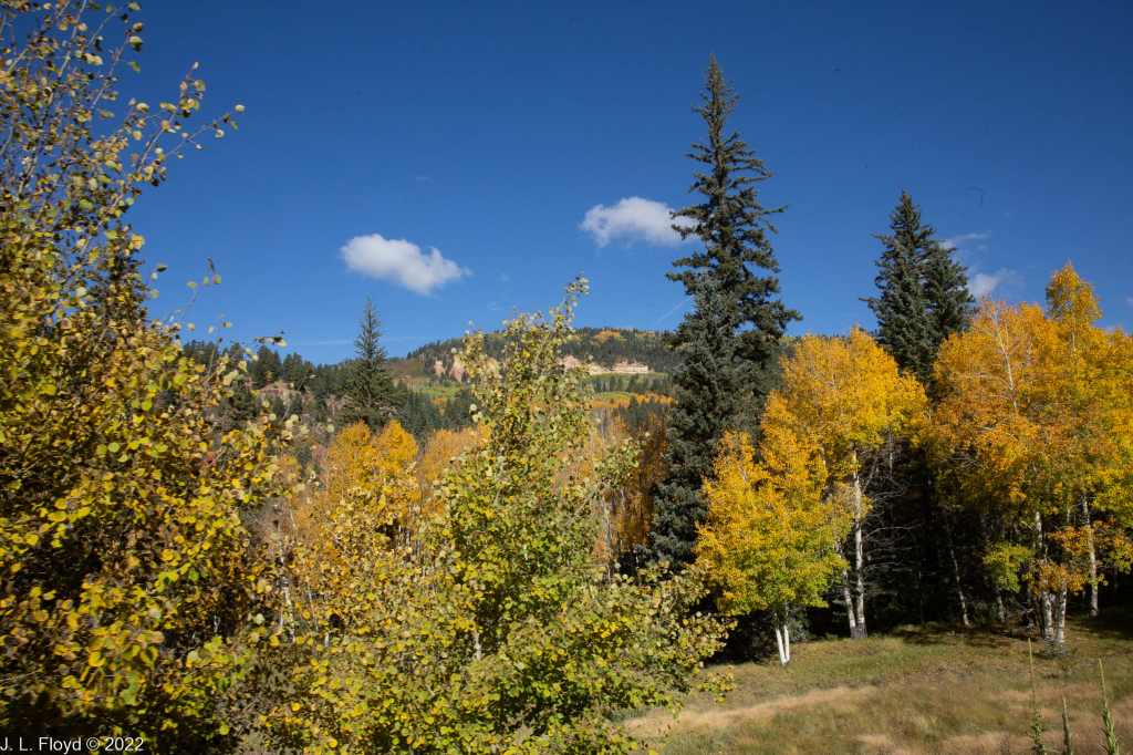 Cumbres & Toltec RR, Oct. 7, 2022
Cumbres & Toltec RR, Oct. 7, 2022
