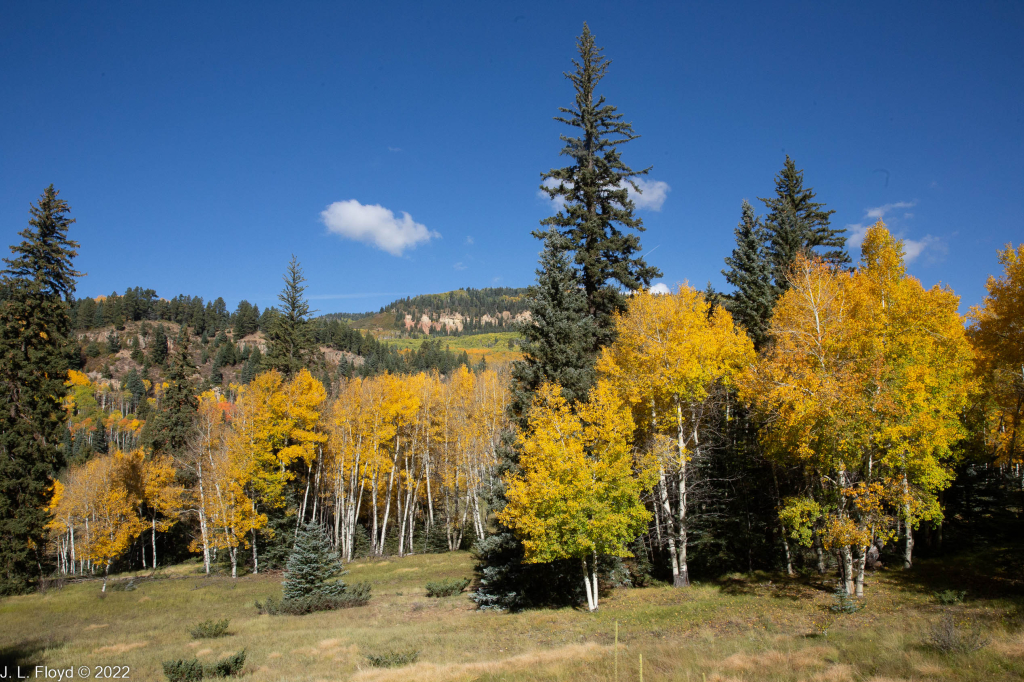 Cumbres & Toltec RR, Oct. 7, 2022
Cumbres & Toltec RR, Oct. 7, 2022
