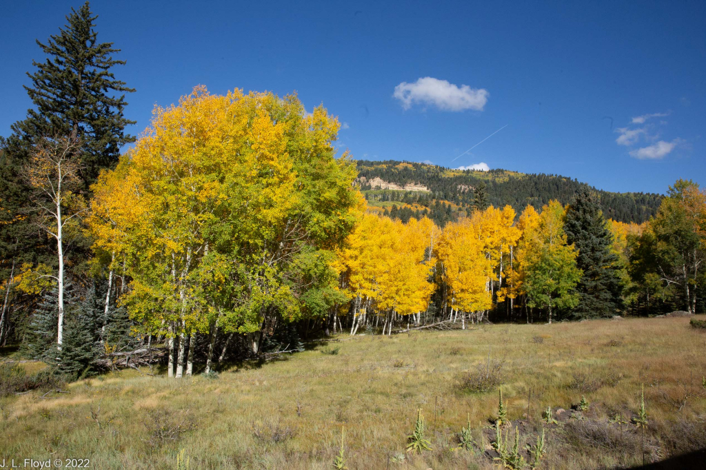 Cumbres & Toltec RR, Oct. 7, 2022
Cumbres & Toltec RR, Oct. 7, 2022
