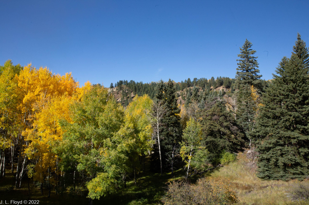 Cumbres & Toltec RR, Oct. 7, 2022
Cumbres & Toltec RR, Oct. 7, 2022
