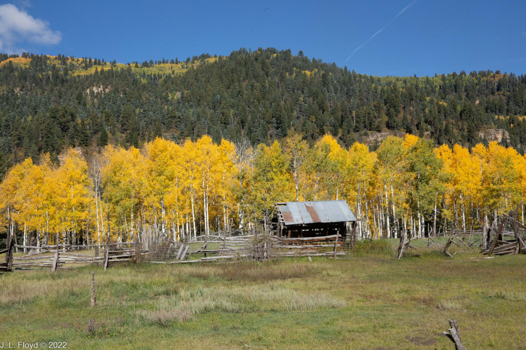 Cumbres & Toltec RR, Oct. 7, 2022
Cumbres & Toltec RR, Oct. 7, 2022
