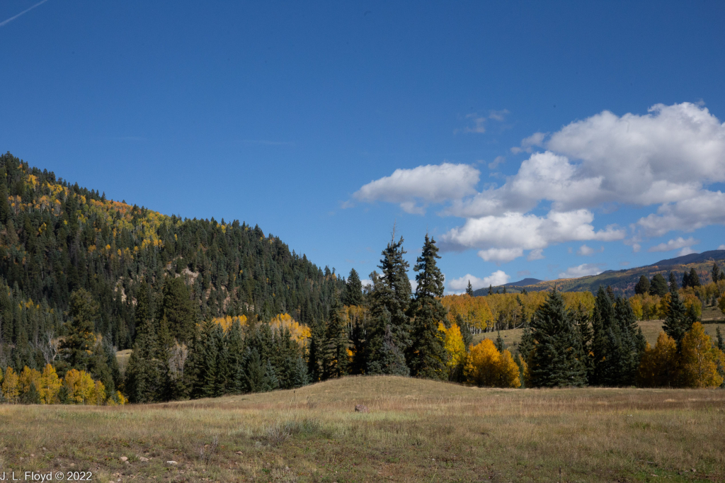 Cumbres & Toltec RR, Oct. 7, 2022
Cumbres & Toltec RR, Oct. 7, 2022
