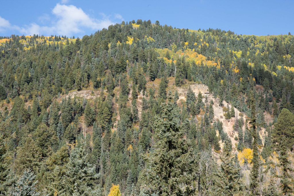 Cumbres & Toltec RR, Oct. 7, 2022
Cumbres & Toltec RR, Oct. 7, 2022
