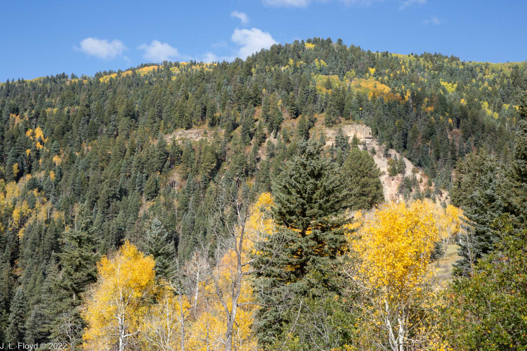 Cumbres & Toltec RR, Oct. 7, 2022
Cumbres & Toltec RR, Oct. 7, 2022
