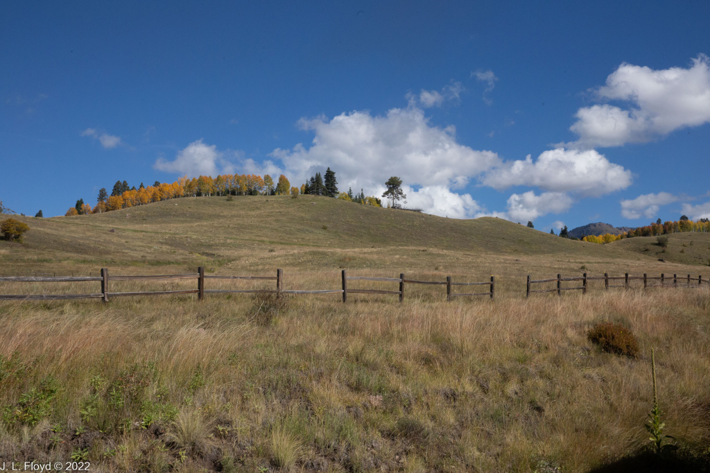 Cumbres & Toltec RR, Oct. 7, 2022
Cumbres & Toltec RR, Oct. 7, 2022
