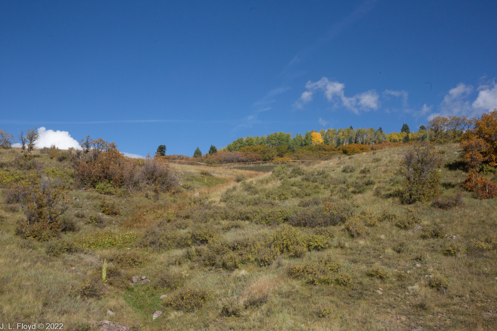 Cumbres & Toltec RR, Oct. 7, 2022
Cumbres & Toltec RR, Oct. 7, 2022
