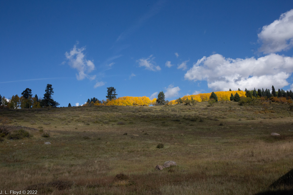 Cumbres & Toltec RR, Oct. 7, 2022
Cumbres & Toltec RR, Oct. 7, 2022
