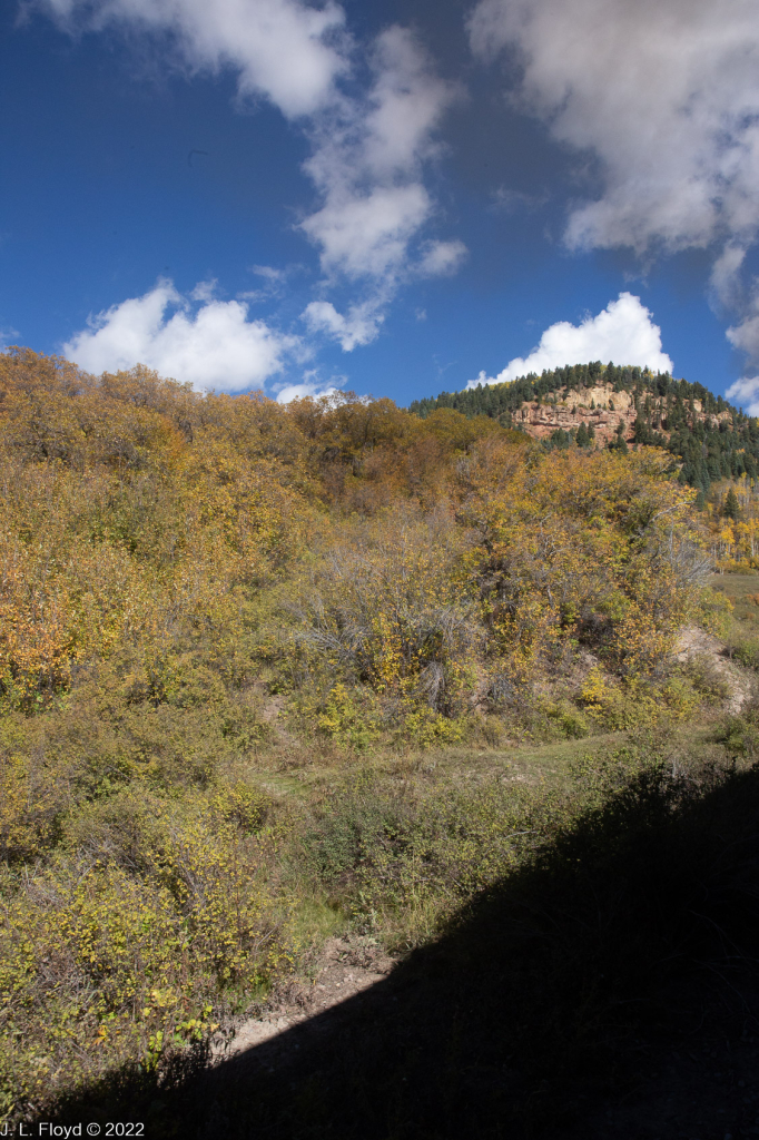 Cumbres & Toltec RR, Oct. 7, 2022
Cumbres & Toltec RR, Oct. 7, 2022

