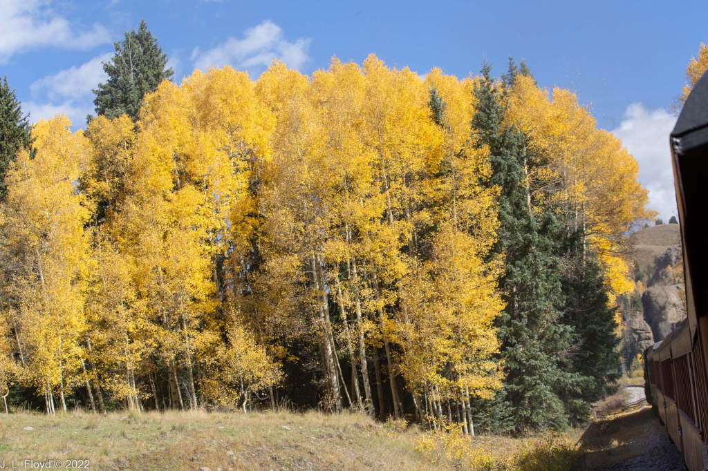 Cumbres & Toltec RR, Oct. 7, 2022
Cumbres & Toltec RR, Oct. 7, 2022
