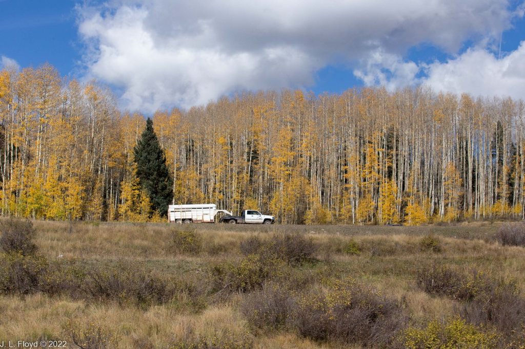 Cumbres & Toltec RR, Oct. 7, 2022
Cumbres & Toltec RR, Oct. 7, 2022
