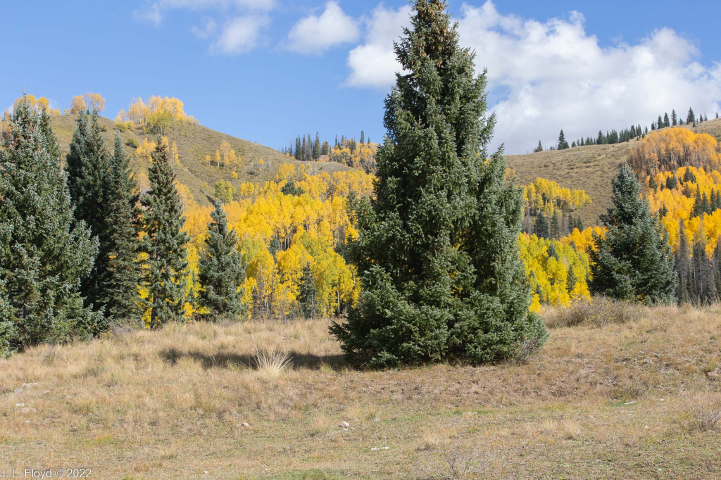 Cumbres & Toltec RR, Oct. 7, 2022
Cumbres & Toltec RR, Oct. 7, 2022
