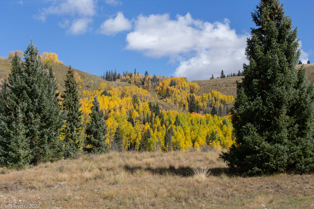 Cumbres & Toltec RR, Oct. 7, 2022
Cumbres & Toltec RR, Oct. 7, 2022
