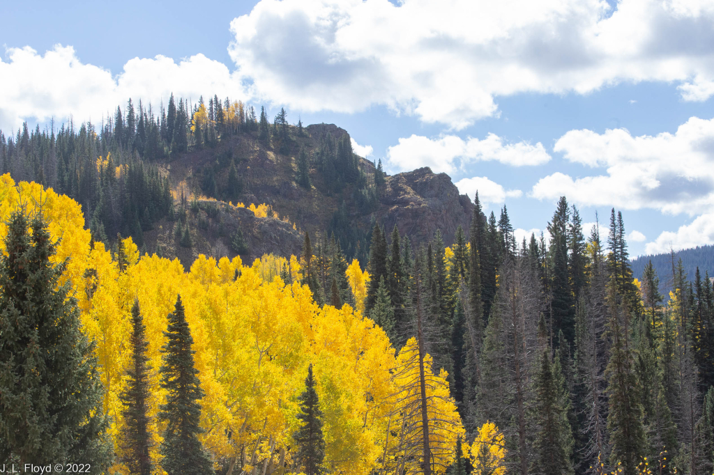 Cumbres & Toltec RR, Oct. 7, 2022
Cumbres & Toltec RR, Oct. 7, 2022
