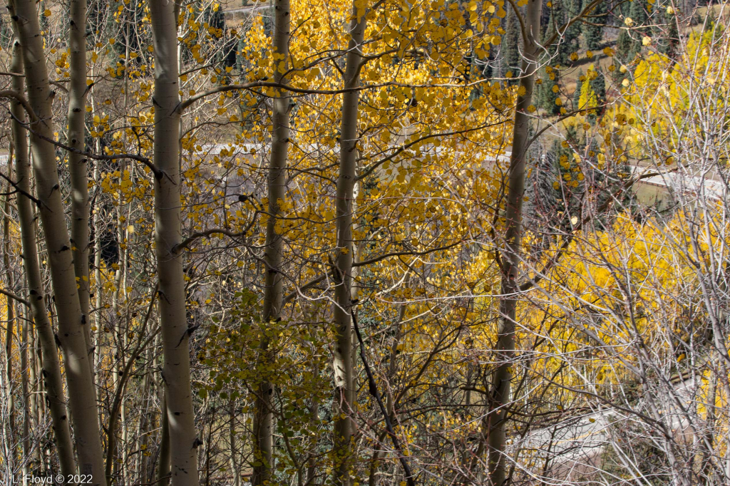 Cumbres & Toltec RR, Oct. 7, 2022
Cumbres & Toltec RR, Oct. 7, 2022
