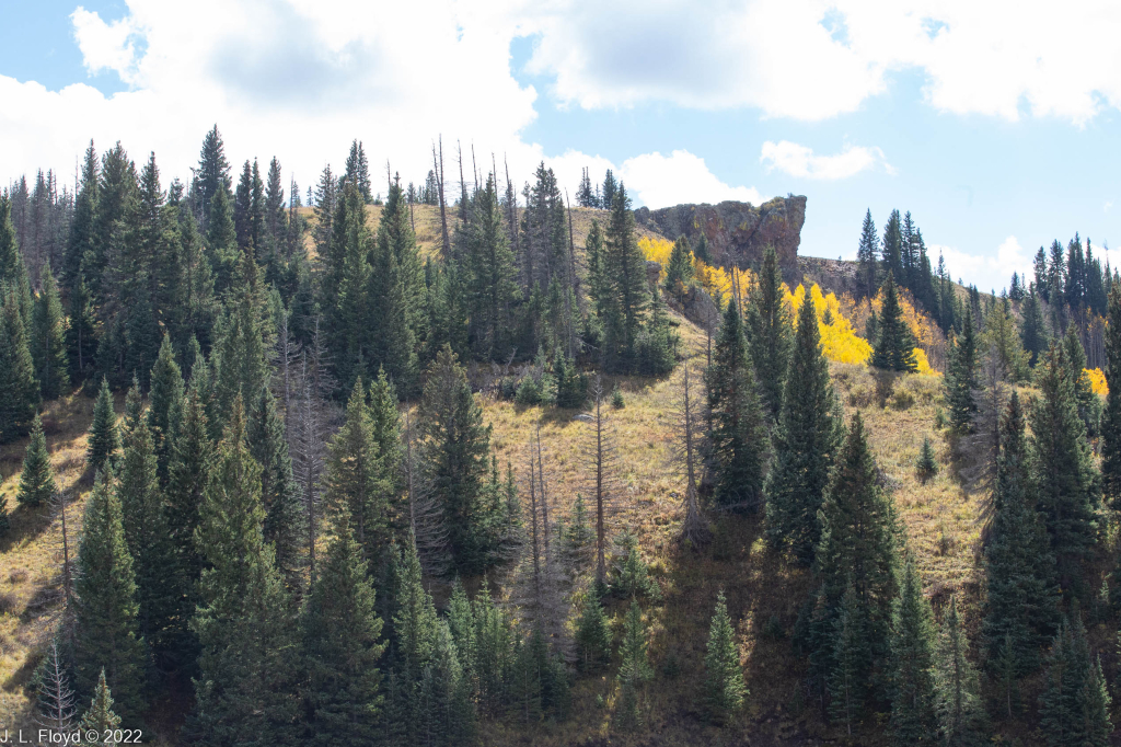 Cumbres & Toltec RR, Oct. 7, 2022
Cumbres & Toltec RR, Oct. 7, 2022
