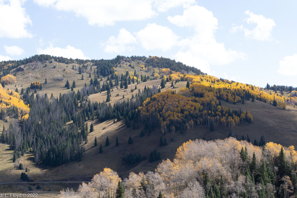 Cumbres & Toltec RR, Oct. 7, 2022
Cumbres & Toltec RR, Oct. 7, 2022
