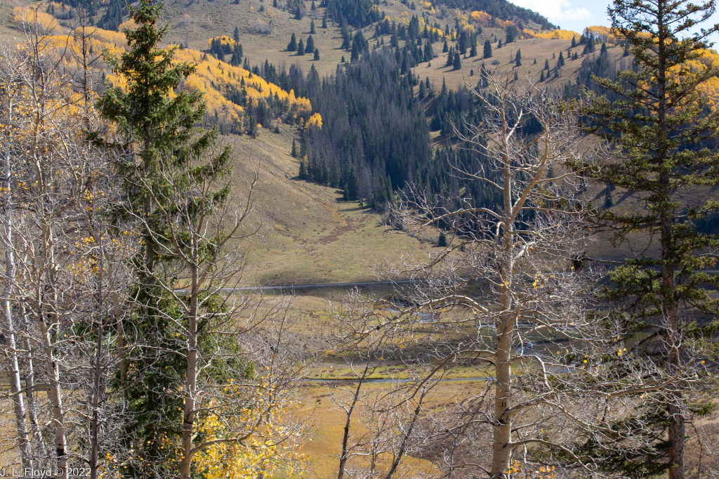 Cumbres & Toltec RR, Oct. 7, 2022
Cumbres & Toltec RR, Oct. 7, 2022
