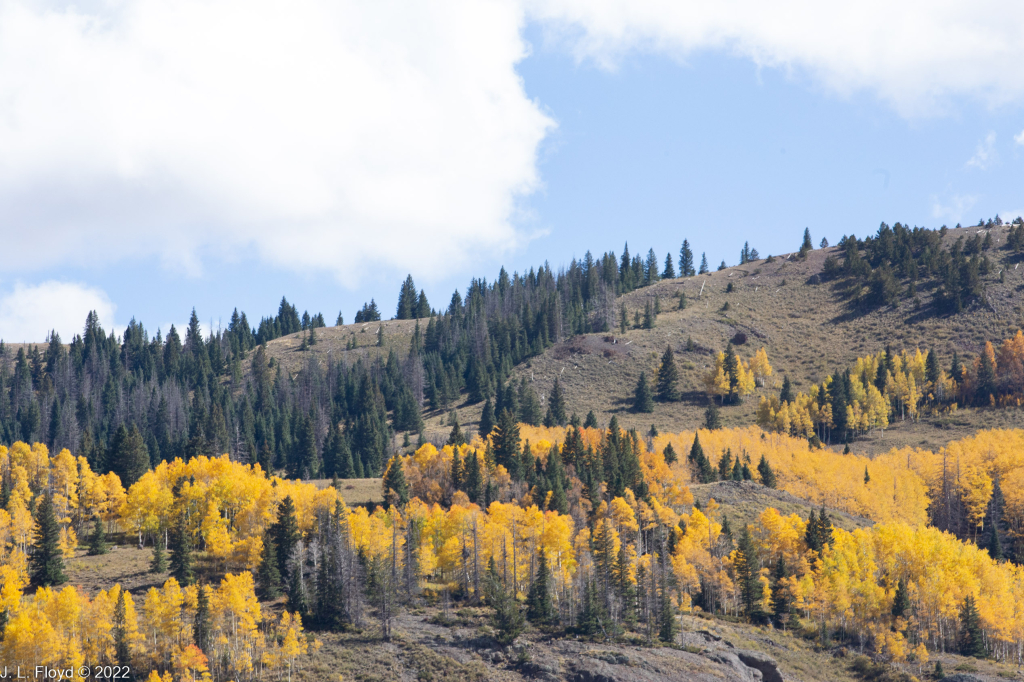 Cumbres & Toltec RR, Oct. 7, 2022
