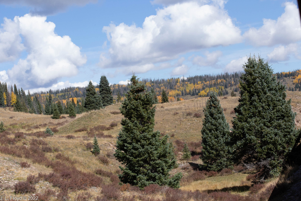 Cumbres & Toltec RR, Oct. 7, 2022
Cumbres & Toltec RR, Oct. 7, 2022
