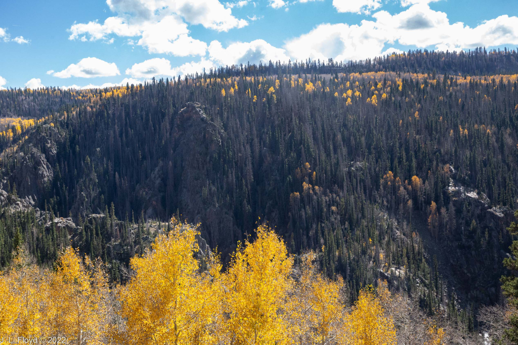 Cumbres & Toltec RR, Oct. 7, 2022
Cumbres & Toltec RR, Oct. 7, 2022
