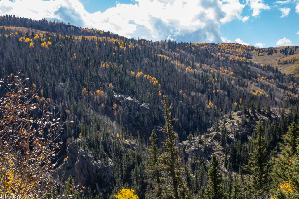 Cumbres & Toltec RR, Oct. 7, 2022
Cumbres & Toltec RR, Oct. 7, 2022
