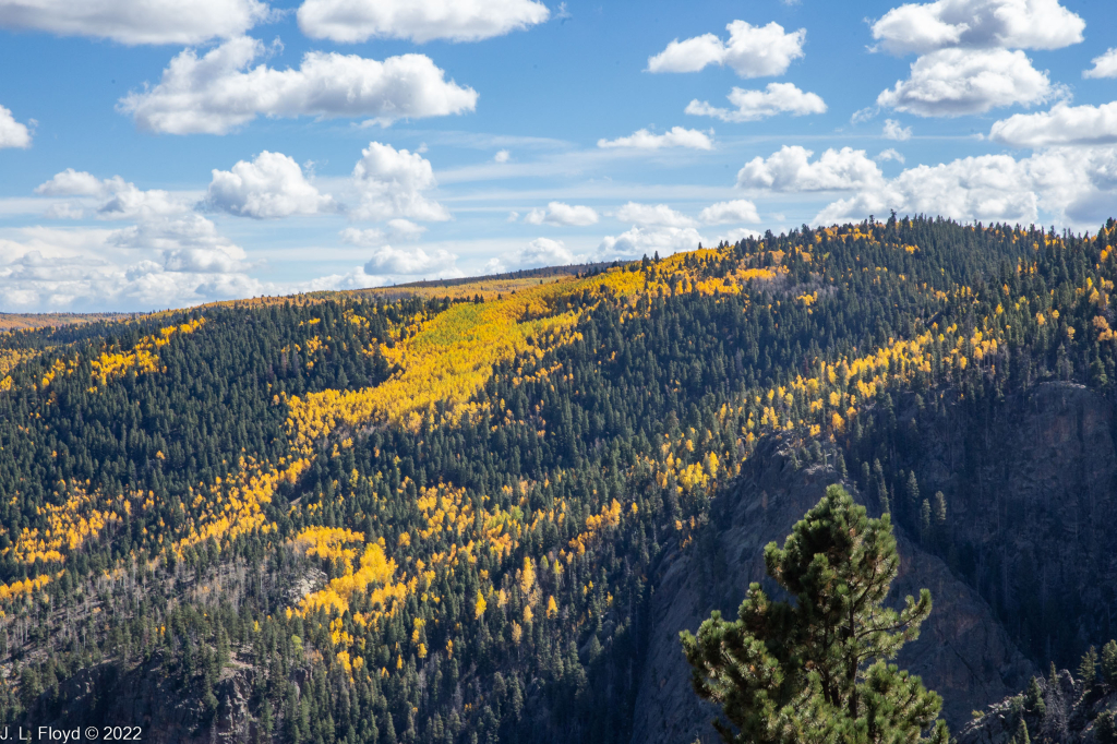 Cumbres & Toltec RR, Oct. 7, 2022
Cumbres & Toltec RR, Oct. 7, 2022
