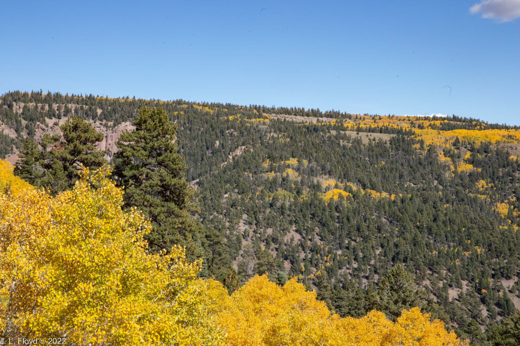 Cumbres & Toltec RR, Oct. 7, 2022
Cumbres & Toltec RR, Oct. 7, 2022
