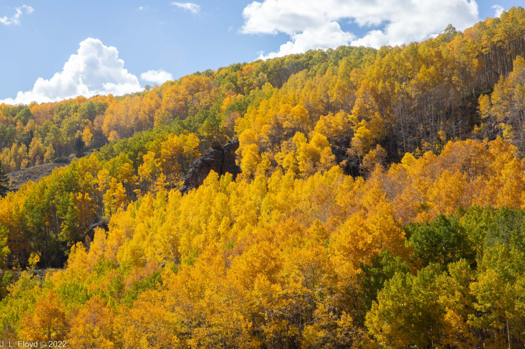 Cumbres & Toltec RR, Oct. 7, 2022
Cumbres & Toltec RR, Oct. 7, 2022
