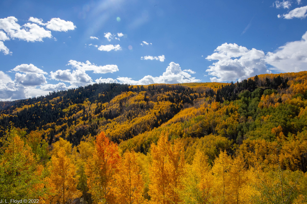 Cumbres & Toltec RR, Oct. 7, 2022
Cumbres & Toltec RR, Oct. 7, 2022
