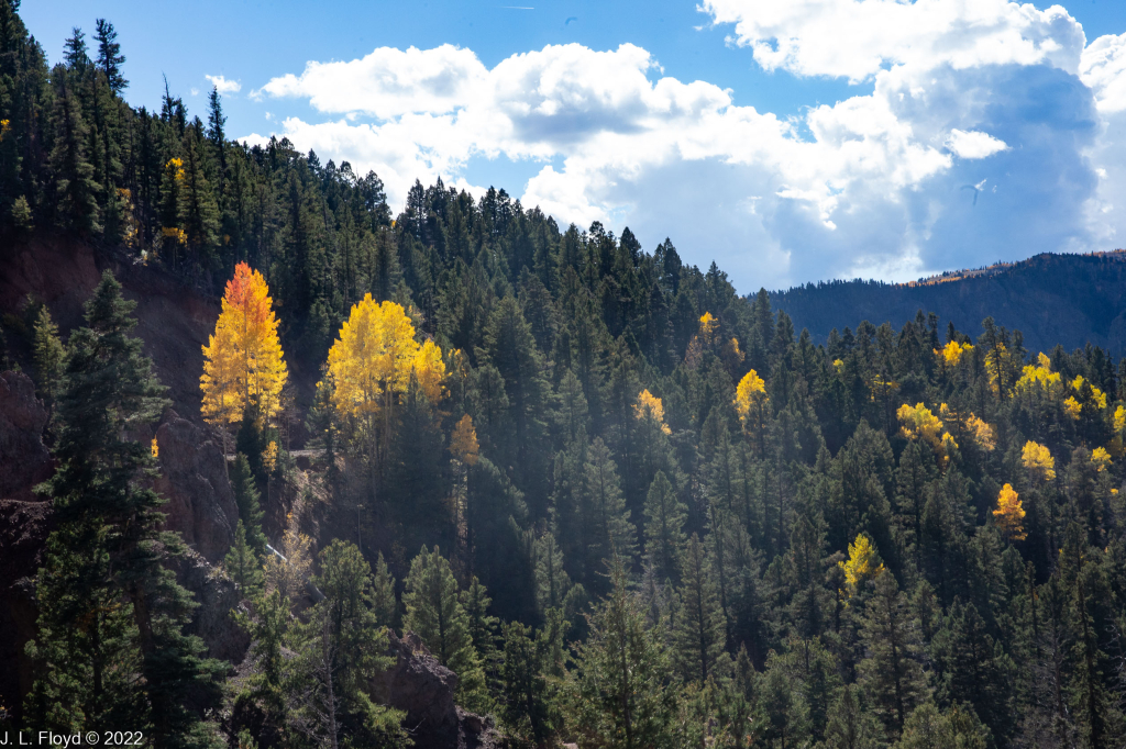 Cumbres & Toltec RR, Oct. 7, 2022
Cumbres & Toltec RR, Oct. 7, 2022
